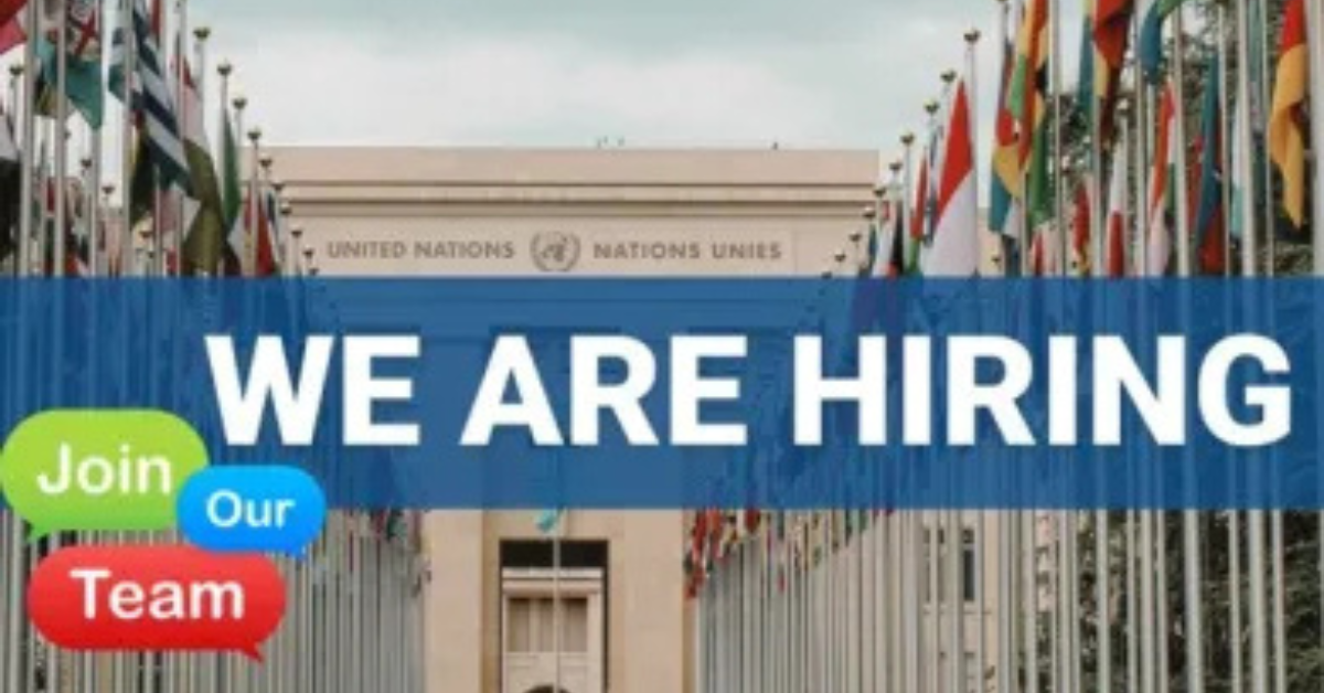 UNDRR Remote Programme Management Internship 2026: Apply Before 6 ...