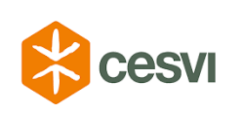 CESVI Is Hiring a Protection Specialist (Fully Remote or HQ-Based) – International Humanitarian Career Opportunity