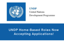 Contribute Globally, Work Locally: UNDP Home-Based Roles Now Accepting Applications!