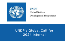 Join the Digital Revolution: UNDP's Global Call for 2024 Interns!