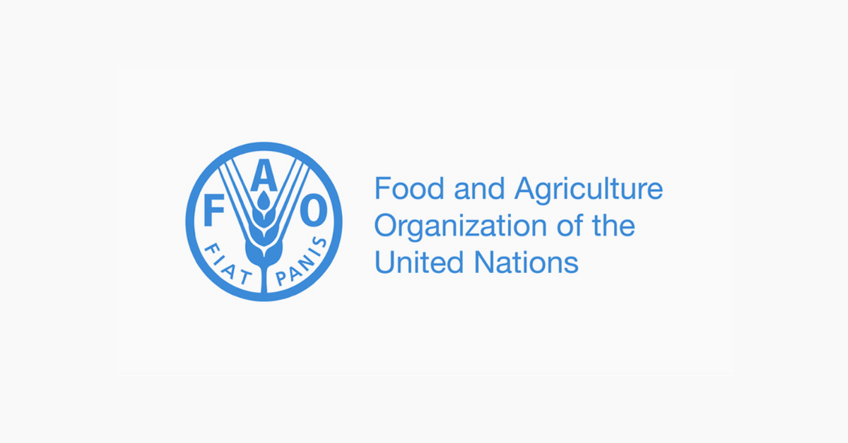 FAO Jobs for Professionals and Graduates – Apply Online