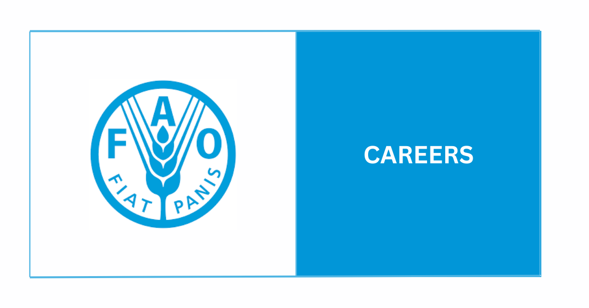 100% Remote FAO Jobs 2026 — Earn $60K–$120K Working From Home