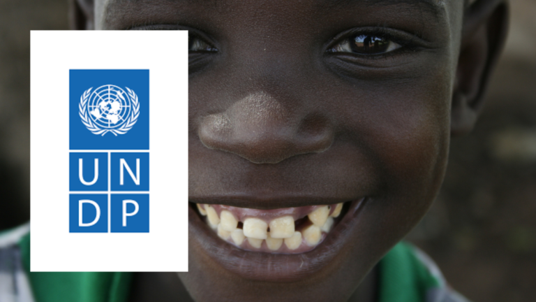 UNDP Home-Based Jobs for March 2026 — No Relocation Required