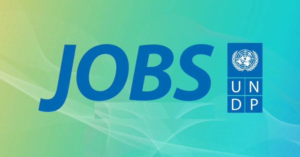 UNDP Calls for Applications: International Individual Consultants ...