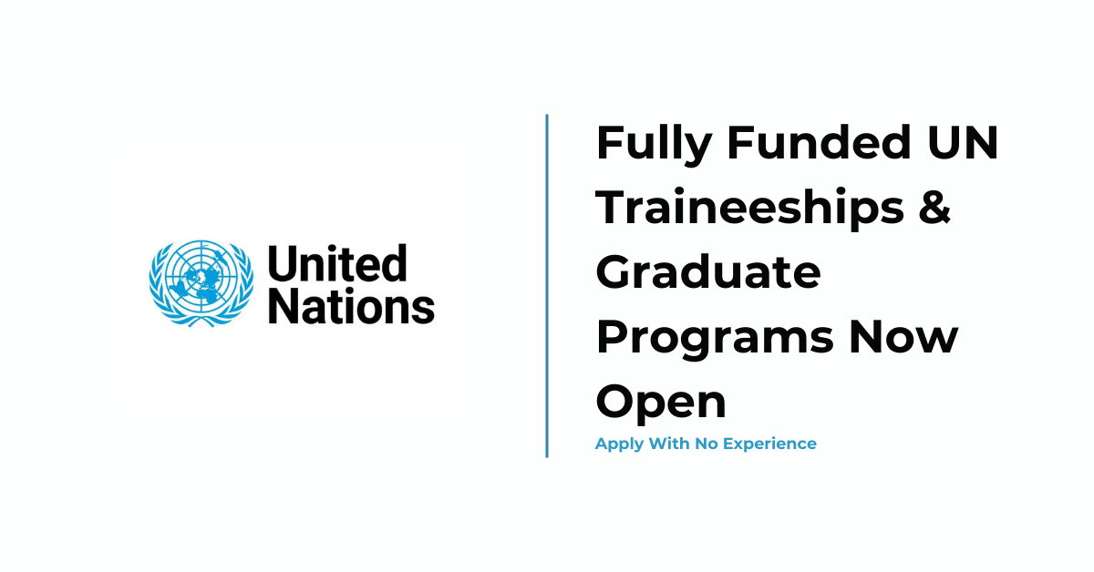 Fully Funded UNDP Traineeships