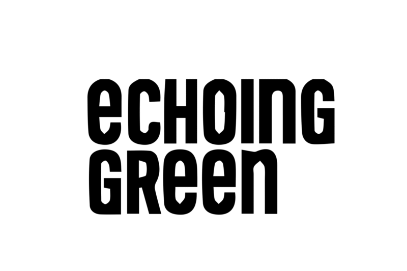 Echoing Green Fellowship Applications Open