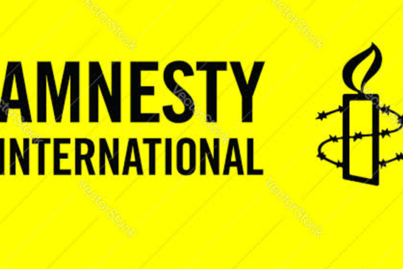 Amnesty International Jobs 2027: Global Human Rights Careers for International Professionals