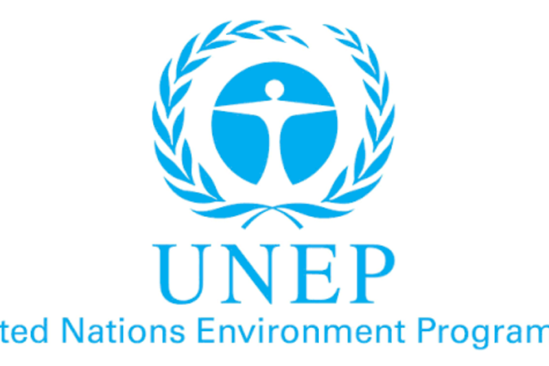 Global Framework on Chemicals Fund 2026: International Funding Opportunities for Chemicals and Waste Management Projects