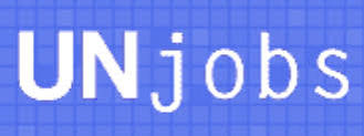 UN Online Volunteering 2027