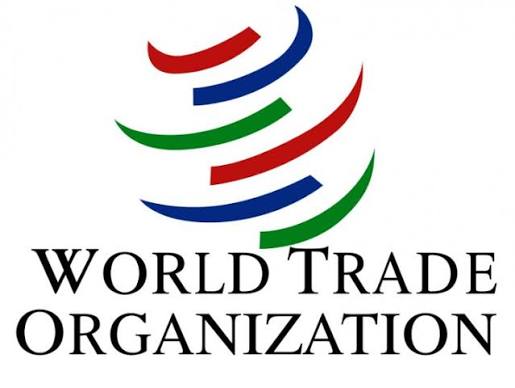 WTO Young Professionals Programme 2027 Welcomes Global Talent