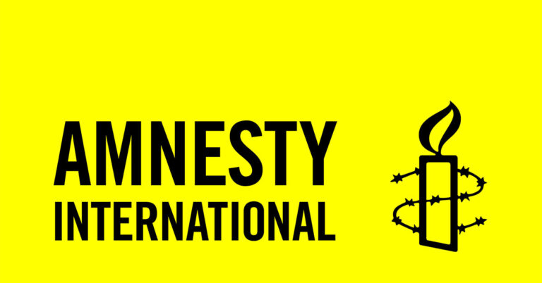 Amnesty International Human Rights Fellowship Applications Open for Global Changemakers