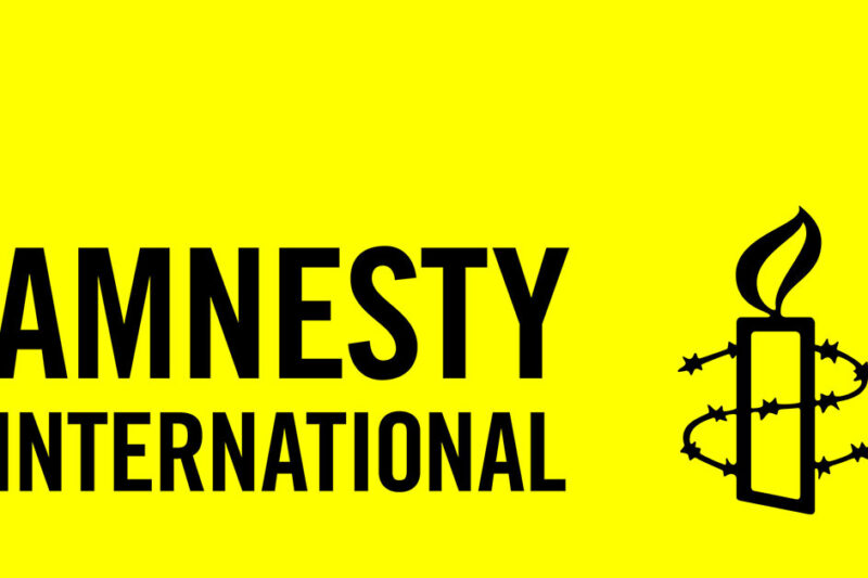Amnesty International Human Rights Fellowship Applications Open for Global Changemakers