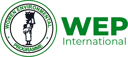 Women Environmental Programme Digital Skills Development Programme Cohort II Applications Open