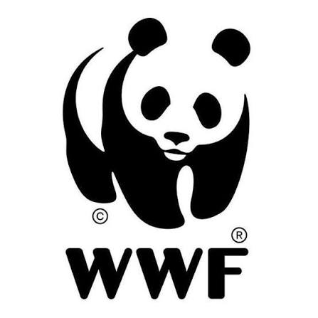 WWF Russell E. Train Fellowships 2027 Applications Open for Conservation Leaders