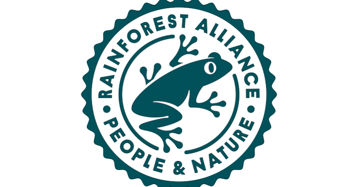 Rainforest Alliance Kleinhans Fellowship Applications Open for Community Forestry Researchers