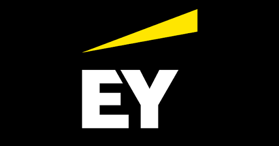 EY Student Internship 2027 Supports Career Development
