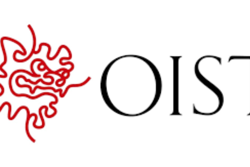OIST PhD Program 2027 in Japan | Fully Funded Okinawa Institute of Science and Technology Scholarship