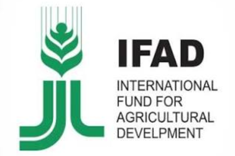 IFAD Junior Professional Officer (JPO) Programme 2026: Launch Your International Development Career with the United Nations