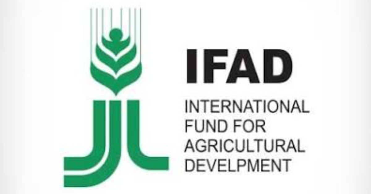 IFAD Junior Professional Officer (JPO) Programme 2026: Launch Your International Development Career with the United Nations