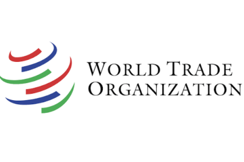 WTO Young Professionals Programme 2027: Earn CHF 4,000 Monthly Working at the World Trade Organization in Switzerland