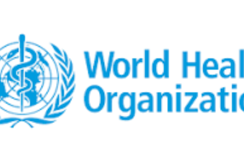 WHO National Consultant – Health Financing Data Analytics 2026: Earn USD 39,600 Supporting Ukraine’s Health System