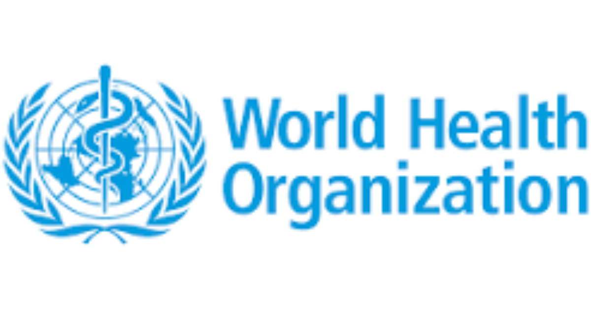 WHO National Consultant – Health Financing Data Analytics 2026: Earn USD 39,600 Supporting Ukraine's Health System