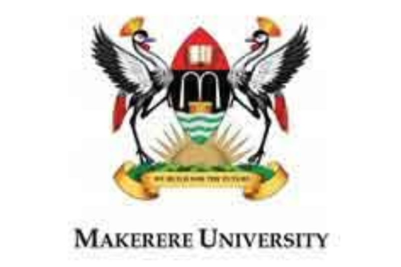 Call For Applications: Mak-BSSR Postdoc, PhD, Master’s Fellowship-level Training 2026