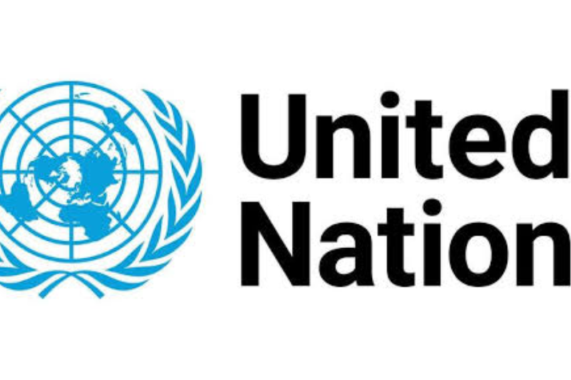 UN Nippon Foundation Ocean Affairs Fellowship 2027: Fully Funded United Nations Programme Now Accepting Applications
