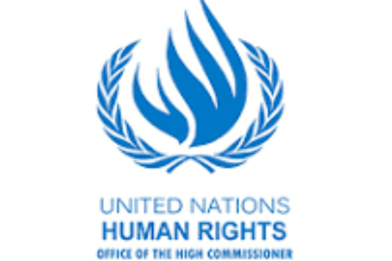 OHCHR Indigenous Fellowship Program 2027: Fully Funded United Nations Human Rights Training in Geneva