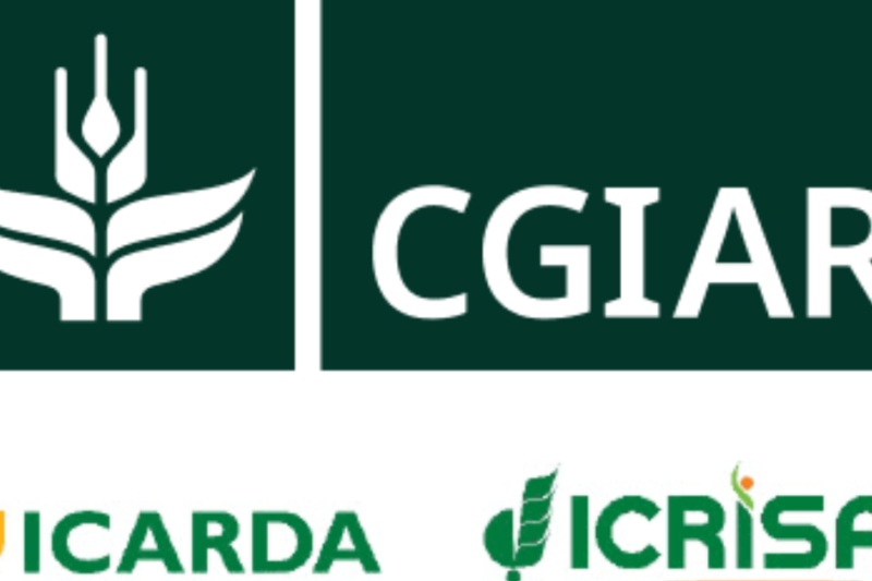 CGIAR Climate, Peace and Security Spring School 2026: Fully Funded Opportunity for Early Career Researchers in South Africa
