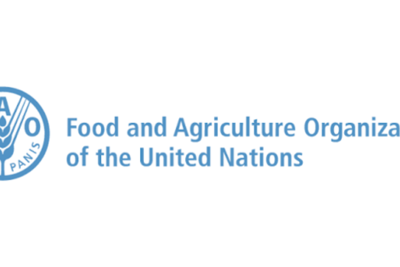 FAO Fellows Programme 2026: Fully Funded Research Opportunity for PhD Students and Researchers