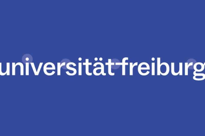FRIAS Early Career Fellowship Programme 2027/28: Research Fellowship in Germany for International Researchers