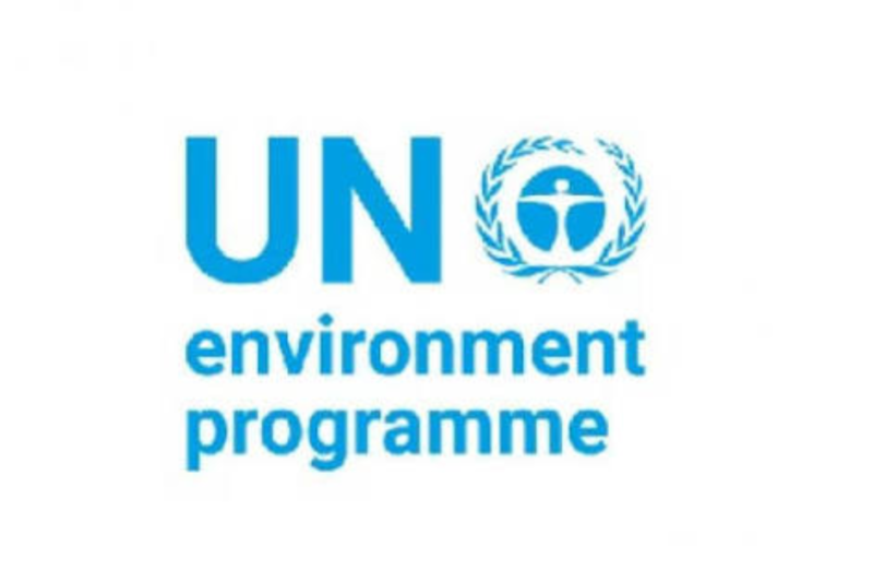 UNEP Mountains ADAPT Small Grants 2026: Up to US$30,000 for Community Climate Resilience Projects