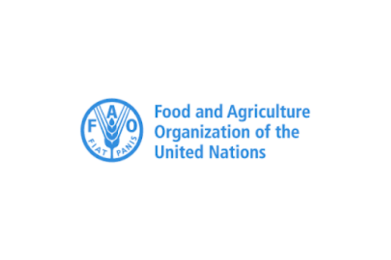 FAO Internship Programme 2026: Paid International Internship Opportunities for Students and Recent Graduates