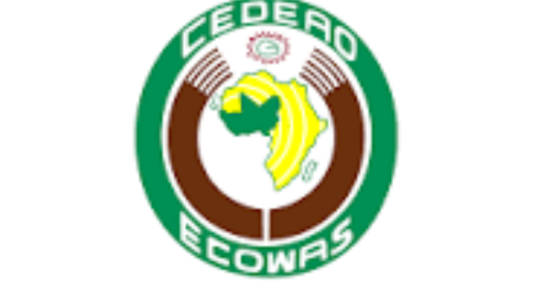 ECOWAS Immersion Program 2027: Fully Paid One-Year Professional Programme for Young Graduates
