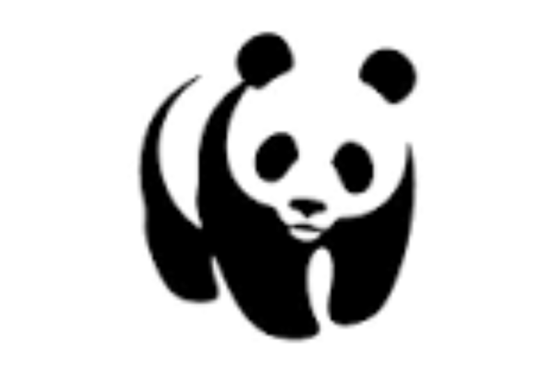 Work on Global Conservation: World Wildlife Fund Opens 2027 US Student Applications