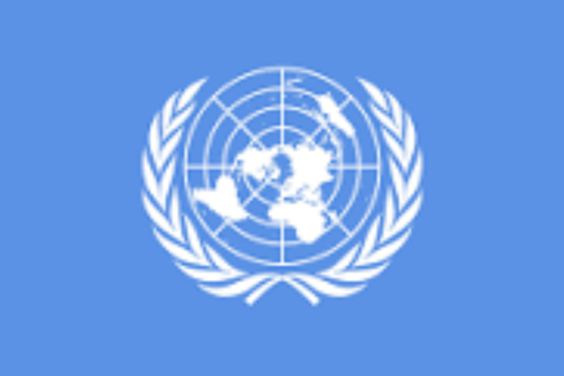 UN Youth Internship Program 2026: Fully Funded Positions in New York & Geneva Open Now